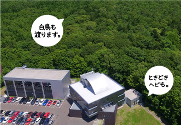 「白鳥も渡ります。」「ときどきヘビも。」「ここに新社屋を増築。」